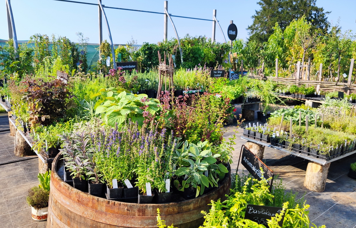 Kräuter und Gemüse