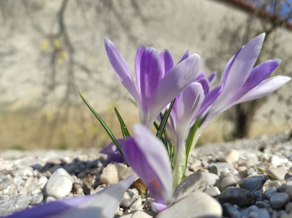 AB FRÜHLING 2025 - Wir suchen Dich!